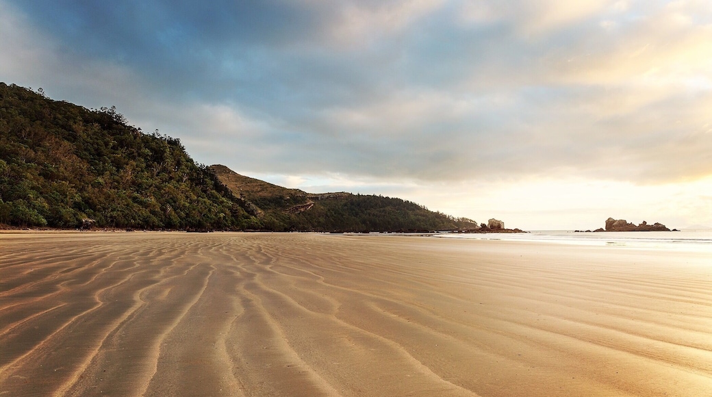 Cape Hillsborough a small seaside beach North of Mackay, QLD. A great spot to visit and if you go at sunrise you will see the local wallabies and kangaroos!