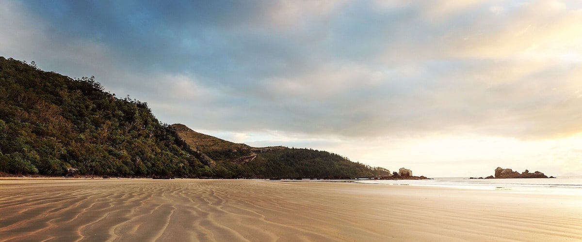 A sandy beach with rippled patterns and a forested hillside in the background.