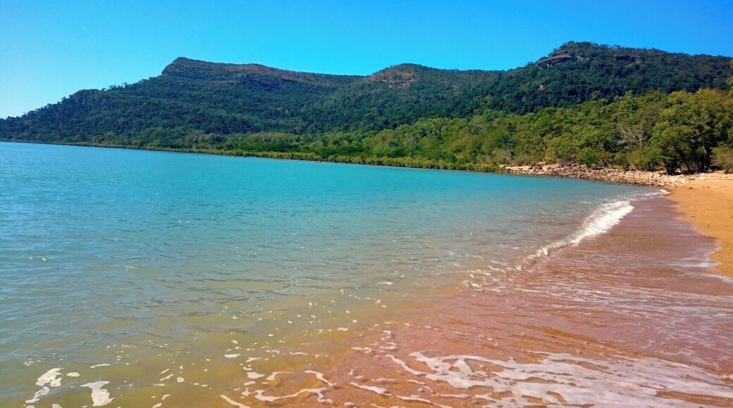 Easily the BEST campsite in this region of Queensland. We only booked two nights and regretted it. Could have easily spent a week here! This was the view from our private access to Smalleys Beach from our campsite. No trickery, this is the actual view! We are not professional photographers, this is nature at its finest.
Be sure to pre-book your campsite as this campgrounds fills up (easy to see why). During summer you cannot swim in the water due to the Marine Stingers in North Queensland, however from May - October you are safe to enjoy these pristine waters.
More about the campsite at http://www.colourofsunshine.com/campsite-reviews/
#colorful #campsite #roadtrip