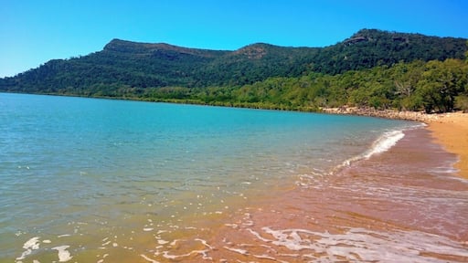 Easily the BEST campsite in this region of Queensland. We only booked two nights and regretted it. Could have easily spent a week here! This was the view from our private access to Smalleys Beach from our campsite. No trickery, this is the actual view! We are not professional photographers, this is nature at its finest.
Be sure to pre-book your campsite as this campgrounds fills up (easy to see why). During summer you cannot swim in the water due to the Marine Stingers in North Queensland, however from May - October you are safe to enjoy these pristine waters.
More about the campsite at http://www.colourofsunshine.com/campsite-reviews/
#colorful #campsite #roadtrip