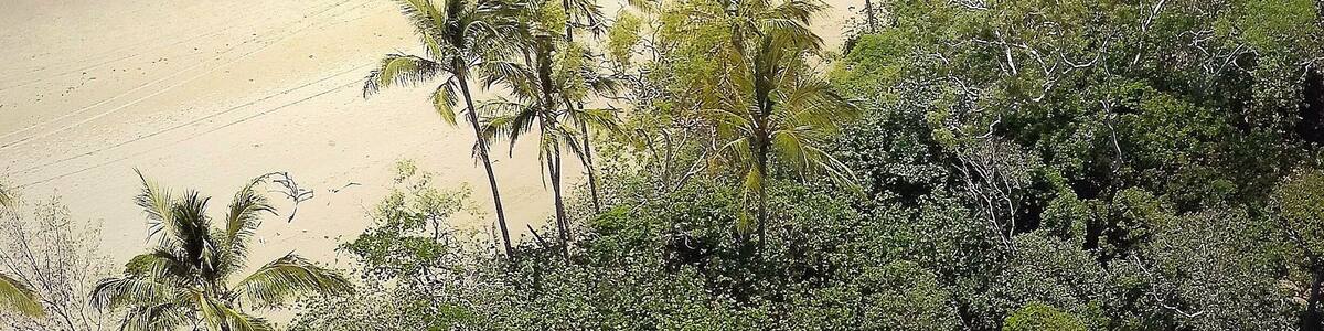 Perfect morning at Cape Hillsborough! ☀️🌴
Exciting news, we're doing a sunset instameet tomorrow night at Sunset Bay from 6:30pm here in @visitmackay, look forward to seeing you there! ☀️🐠🐟🌴😀
#meetmackayregion #thisisqueensland #seeaustralia #GoProANZ #fly3dr