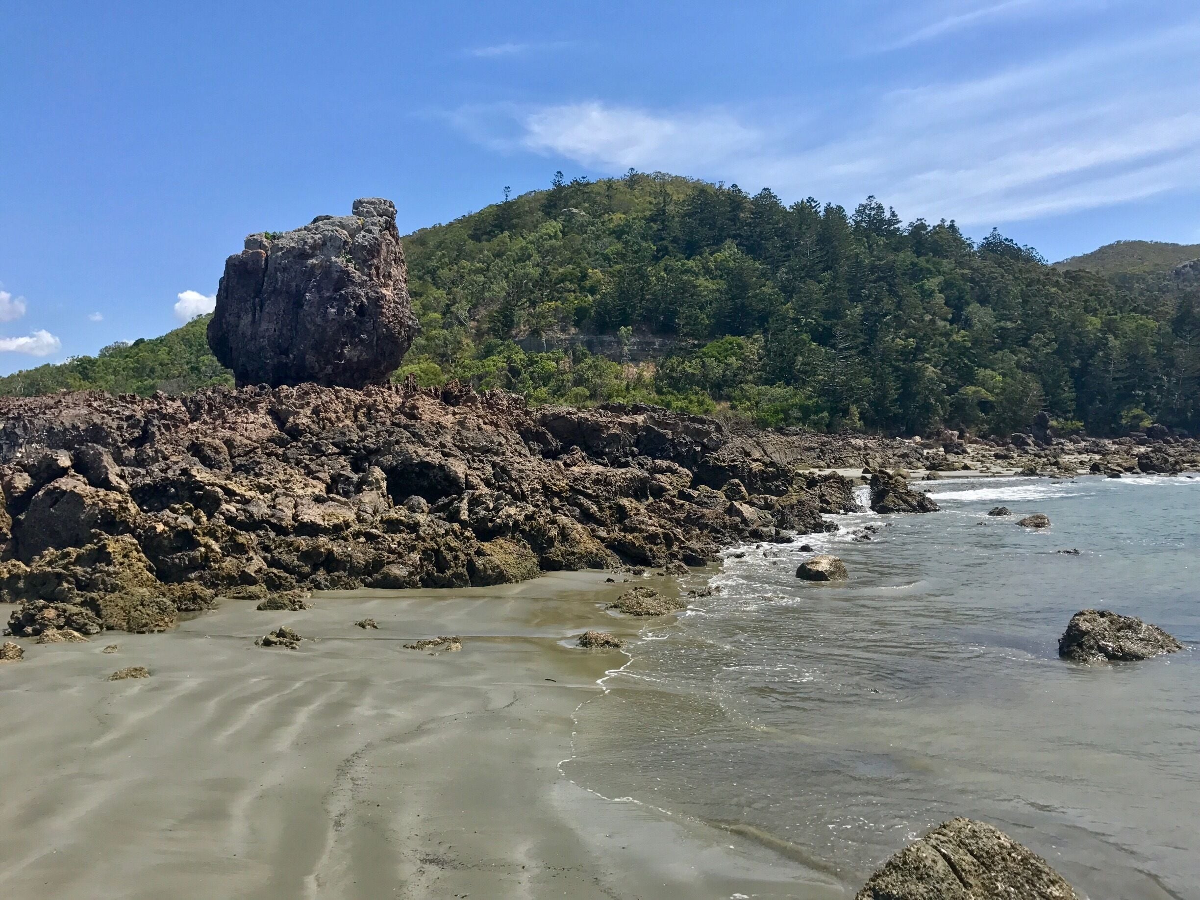 Walking on the beach in Cape Hillsborough. If you wake up for sunrise you can see kangaroos and wallabies come down to the beach to feed. 