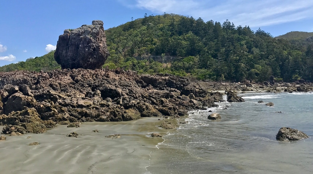 Walking on the beach in Cape Hillsborough. If you wake up for sunrise you can see kangaroos and wallabies come down to the beach to feed.