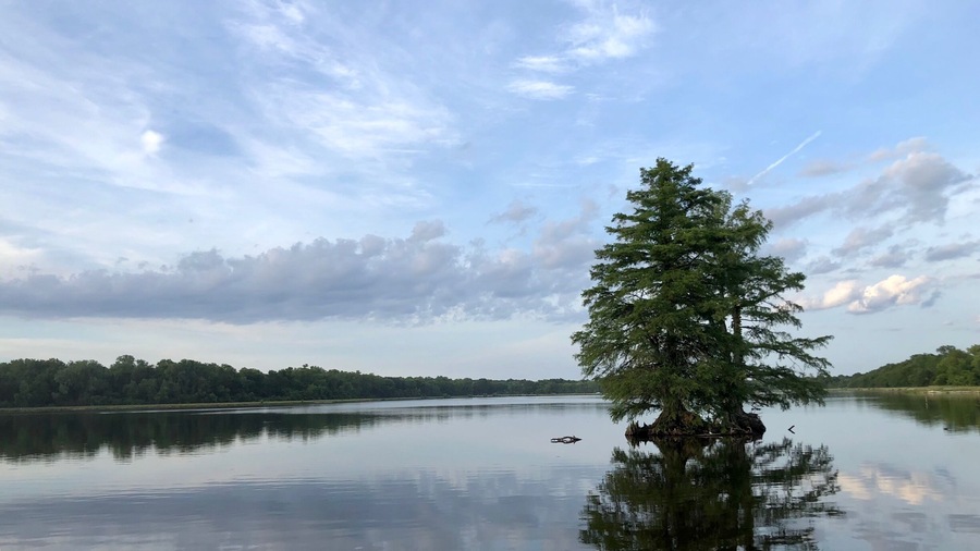 Bucsh Wildlife lakes are beautiful spots for sunrise or sunset.