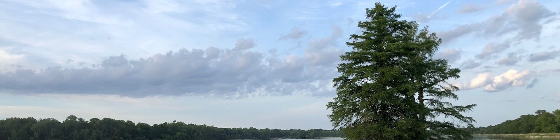 Bucsh Wildlife lakes are beautiful spots for sunrise or sunset.