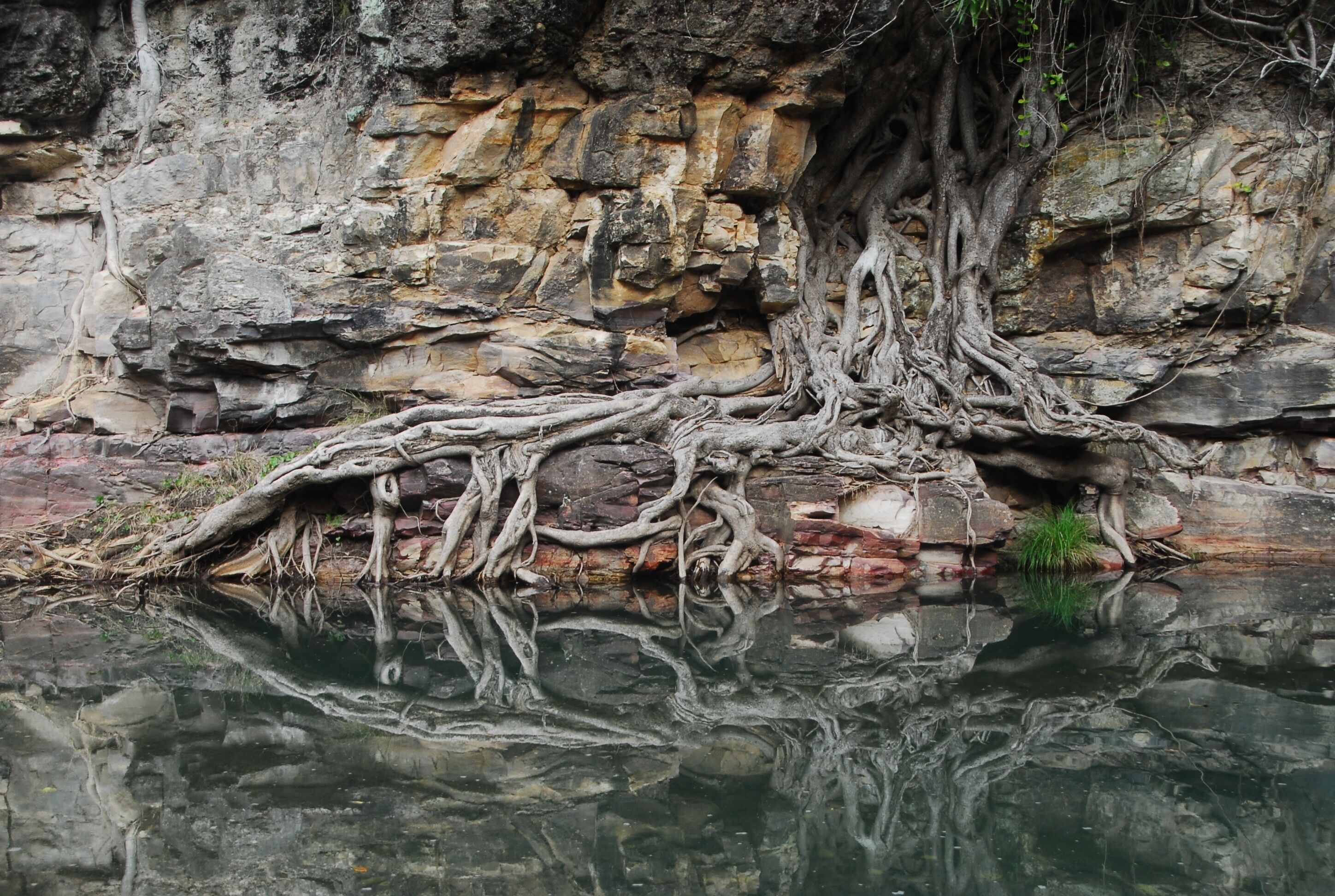 This was taken on the main walk that follows the river.  This would be around an hour into the hike.  You have to cross the stream, from memory, 21 times but it's not like what you see here, it's shallow and mostly involves rock hopping.  I just love the way the figs put out their roots in bizarre places.
