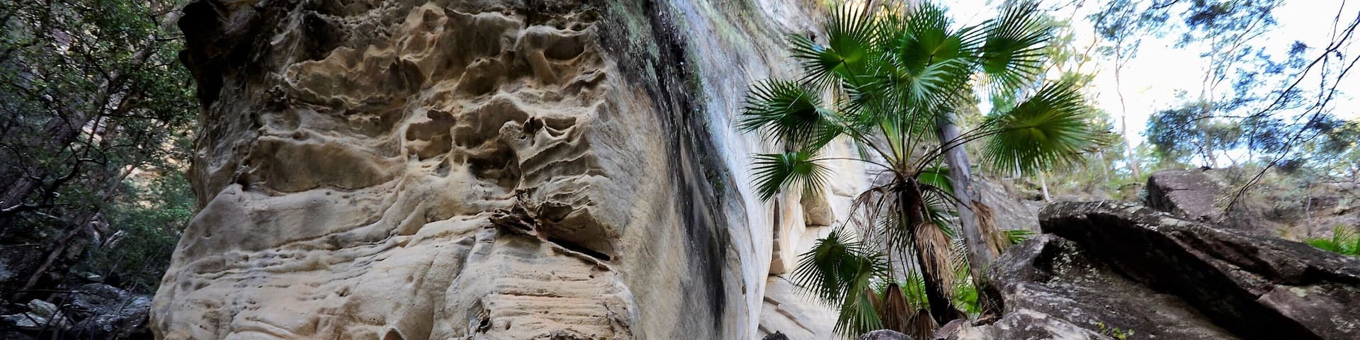 This is a rock formation at the start of the cllmb to Boolimba Lookout, possibly the most favourite of several walks in Carnarvon Gorge. Personally speaking, I think the longer walk straight up the river is the more scenic of all the trails but I did like these rocks.