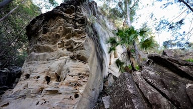 This is a rock formation at the start of the cllmb to Boolimba Lookout, possibly the most favourite of several walks in Carnarvon Gorge. Personally speaking, I think the longer walk straight up the river is the more scenic of all the trails but I did like these rocks.