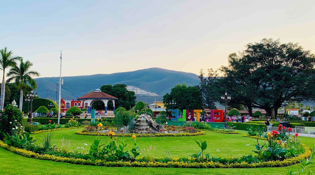 Visit Oaxaca.... enjoy the mystical place!!!