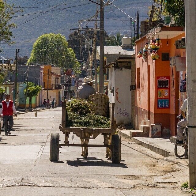 Mexico is exactly as authentic as we thought it would be! We love Mexico 😍 #México @visitmexico #santamaria #oaxaca #authentic #mexicolove #realmexico #authenticmexico #twohobos #travel #exploretheworld #adventure #igtravel #travelblog