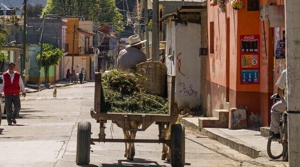 Mexico is exactly as authentic as we thought it would be! We love Mexico 😍 #México @visitmexico #santamaria #oaxaca #authentic #mexicolove #realmexico #authenticmexico #twohobos #travel #exploretheworld #adventure #igtravel #travelblog