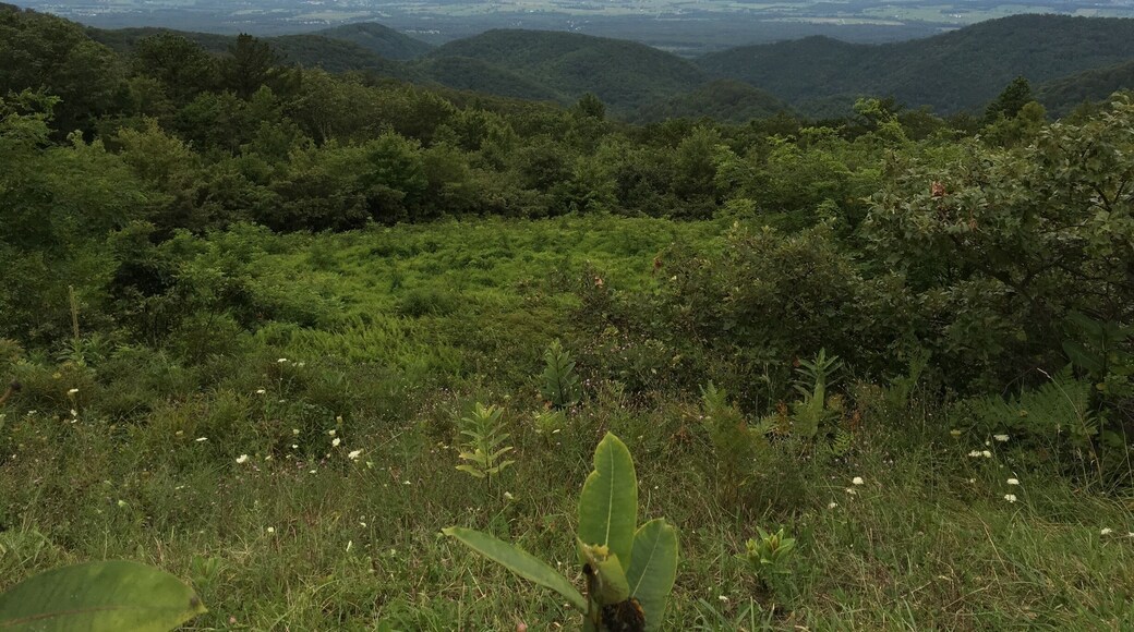 Riding on Skyline Drive Virginia!