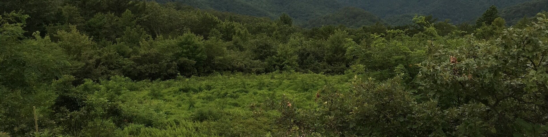 Riding on Skyline Drive Virginia!
