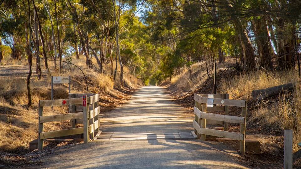 A road leading through a forest with a wooden gate and a sign indicating a historic cemetery.