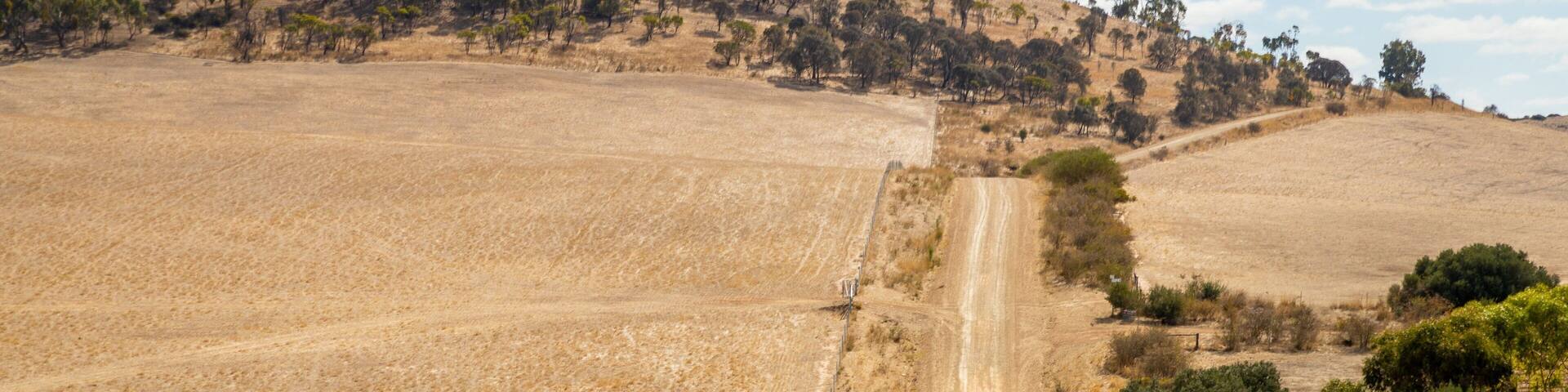 Sevenhill featuring tranquil scenes and farmland