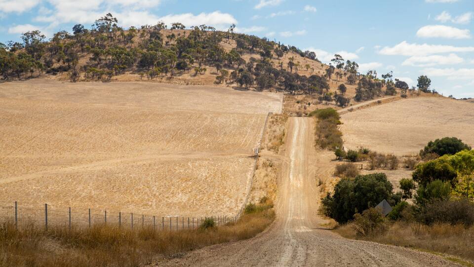 A dirt road winding through a dry, hilly landscape with sparse vegetation and a fence along the roadside.