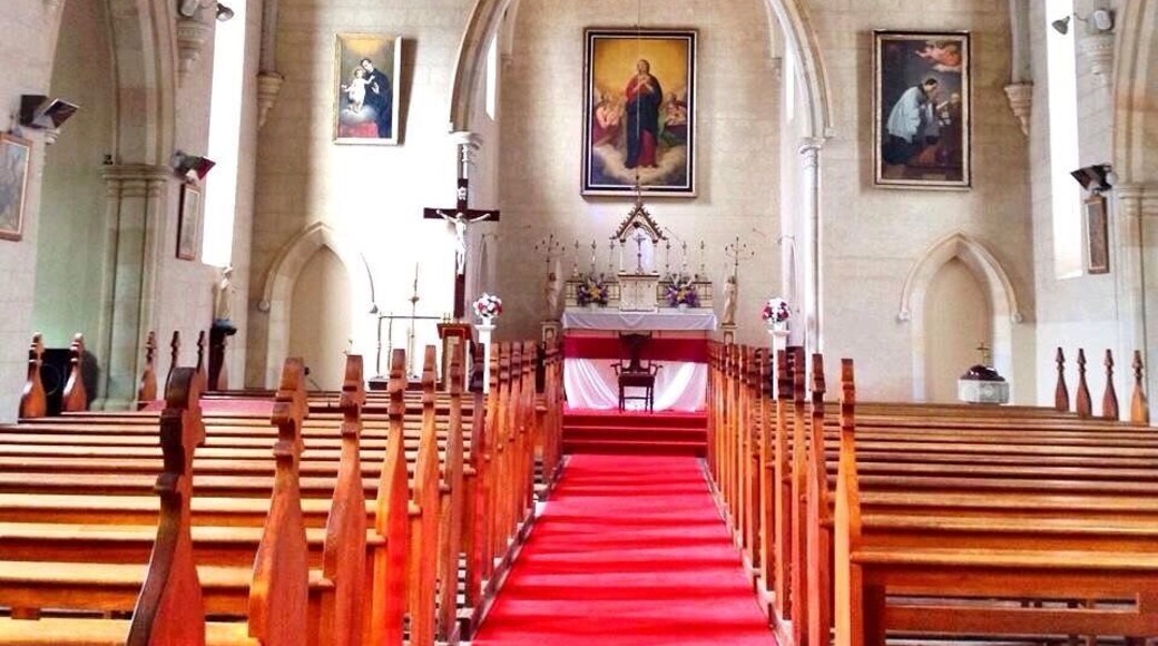 St Aloysius Church, Sevenhill South Australia
#Churches