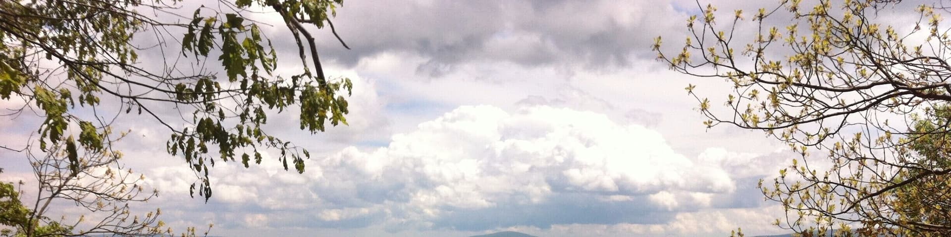 Hiking the George Washington National Forest near Front Royal, VA. A ten mile hike, with an option to 8 affording gorgeous views. #NationalPark
More info: http://www.badsentences.com/george-washington-national-forest-hiking-signal-knob/