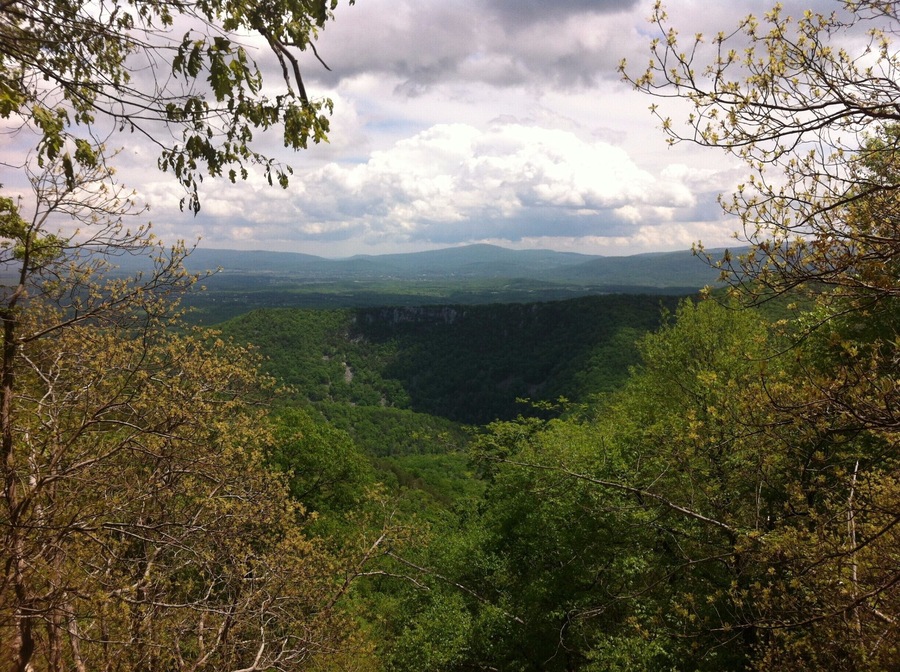 Hiking the George Washington National Forest near Front Royal, VA. A ten mile hike, with an option to 8 affording gorgeous views. #NationalPark
More info: http://www.badsentences.com/george-washington-national-forest-hiking-signal-knob/