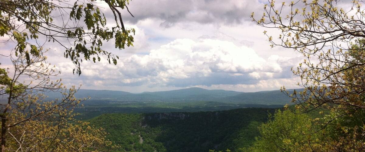 A valley with dense forest and distant mountains under a cloudy sky.