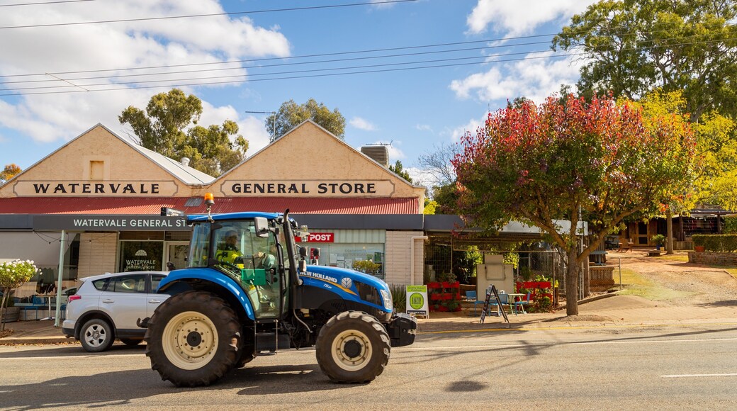 Watervale featuring street scenes