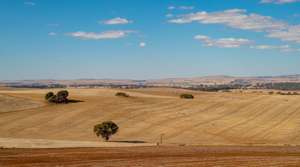 Watervale featuring tranquil scenes, landscape views and farmland