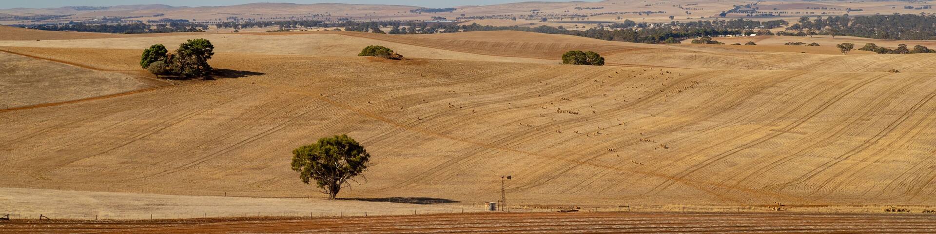 Watervale featuring tranquil scenes, landscape views and farmland