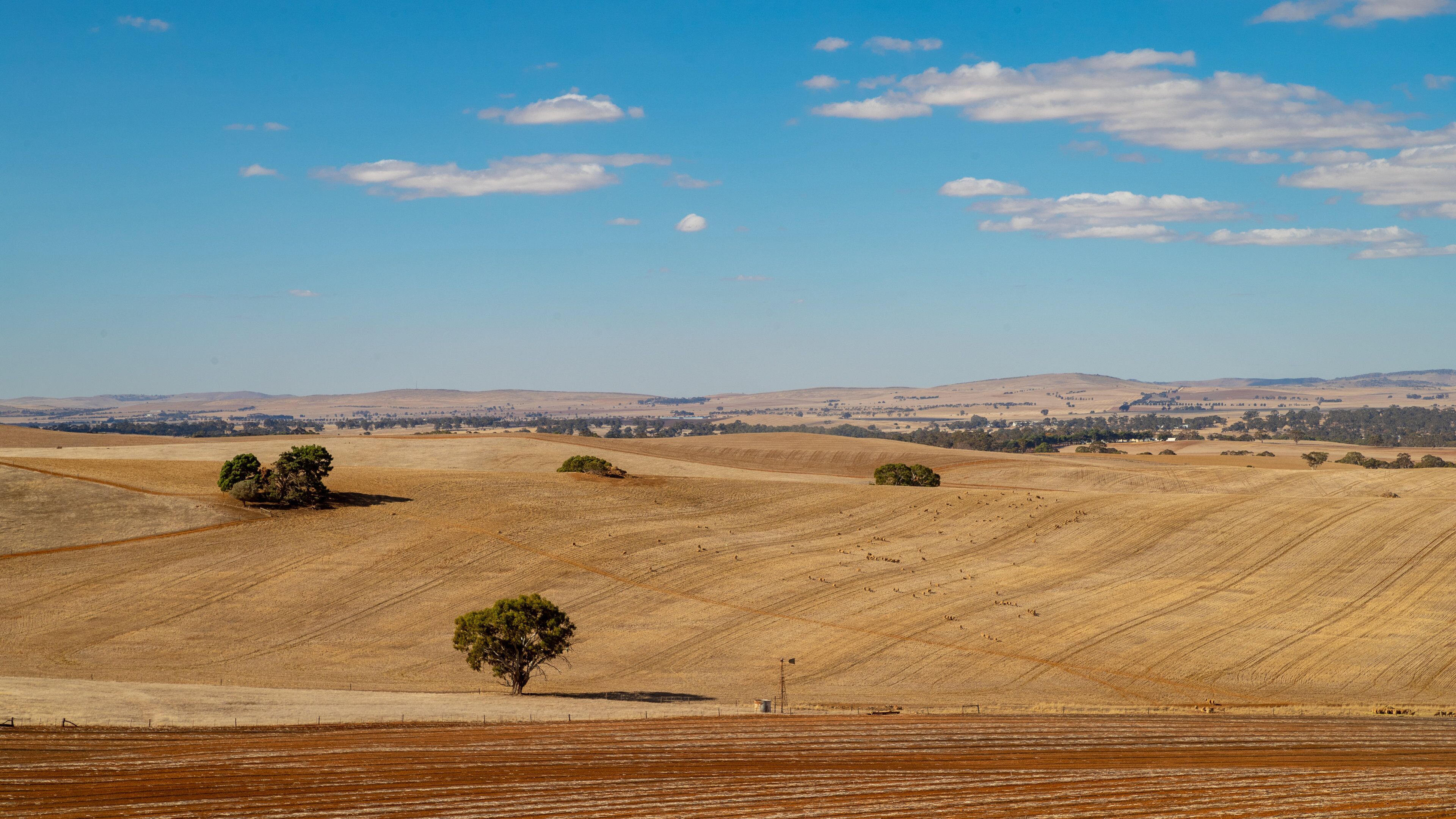 A vast agricultural landscape with rolling hills, sparse trees, and a clear blue sky.
