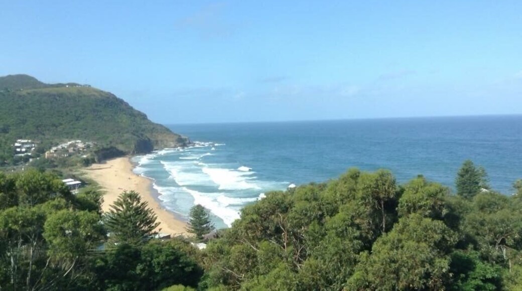 Beautiful scenery heading north from Wollongong NSW Australia on the train. #aquatrove #beachtips