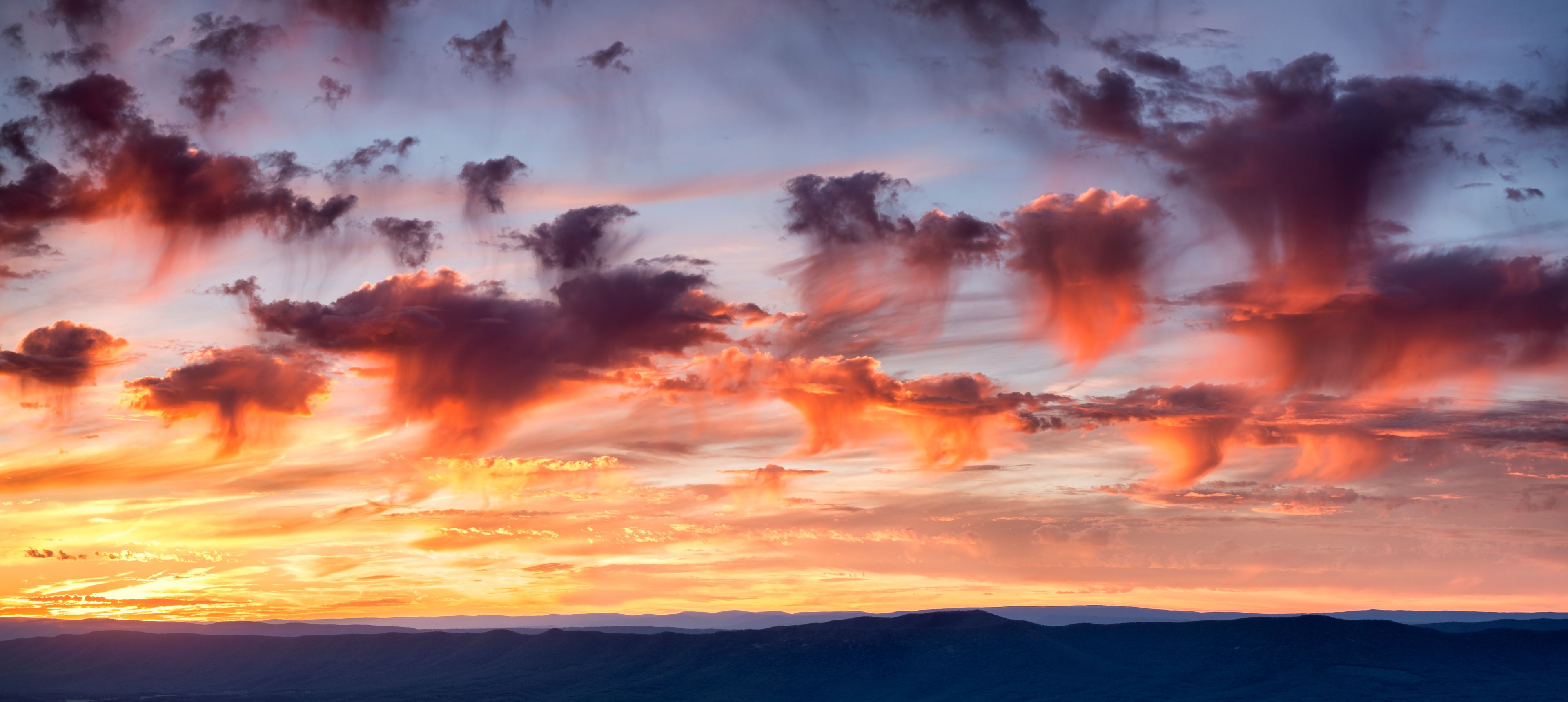 USA, Virginia. Shenandoah National Park, panoramic sunset over Massanutten and the Allegheny Mountains