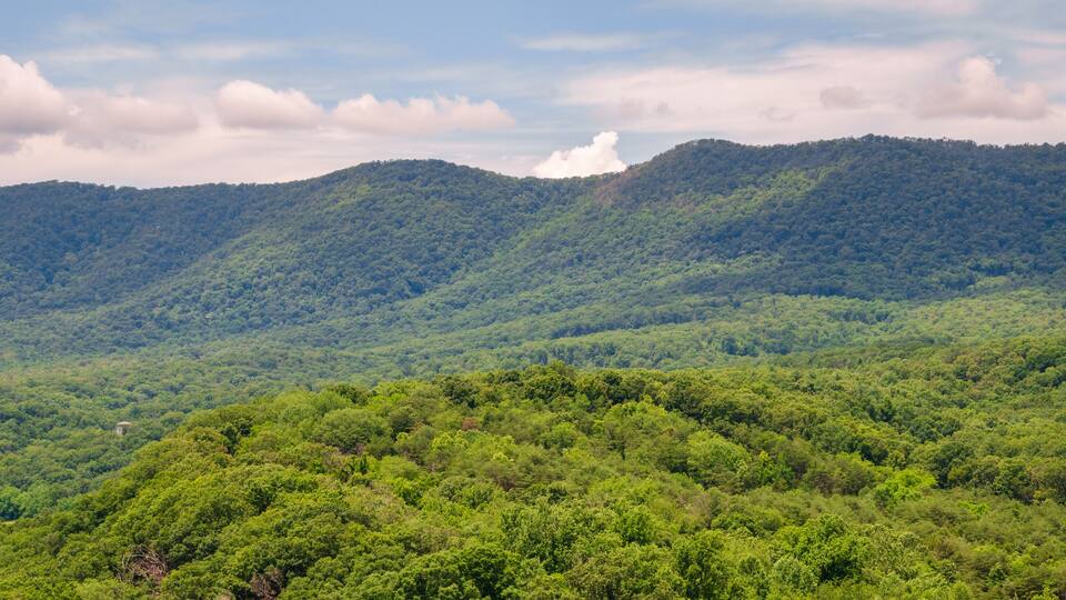 A lush green forested mountain range with a clear sky.