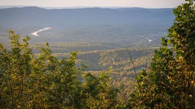 Shenandoah River Raymond R. "Andy" Guest Jr. State Park in Bentonville, Virginia