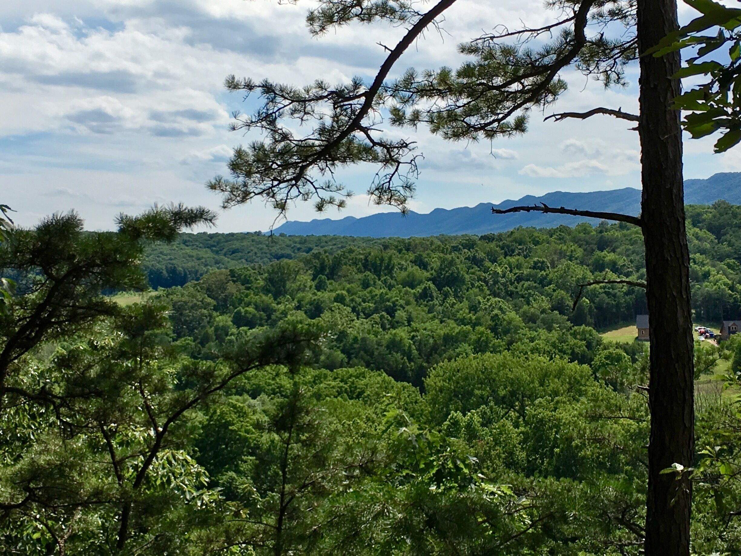 Hanging out at Shenondoa River State Park!
