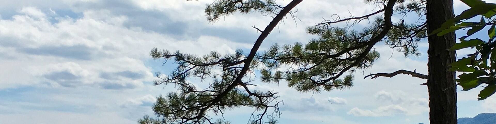 Hanging out at Shenondoa River State Park!