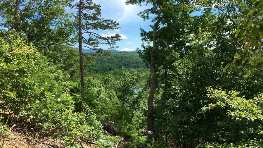 Hanging out at Shenondoa River State Park!