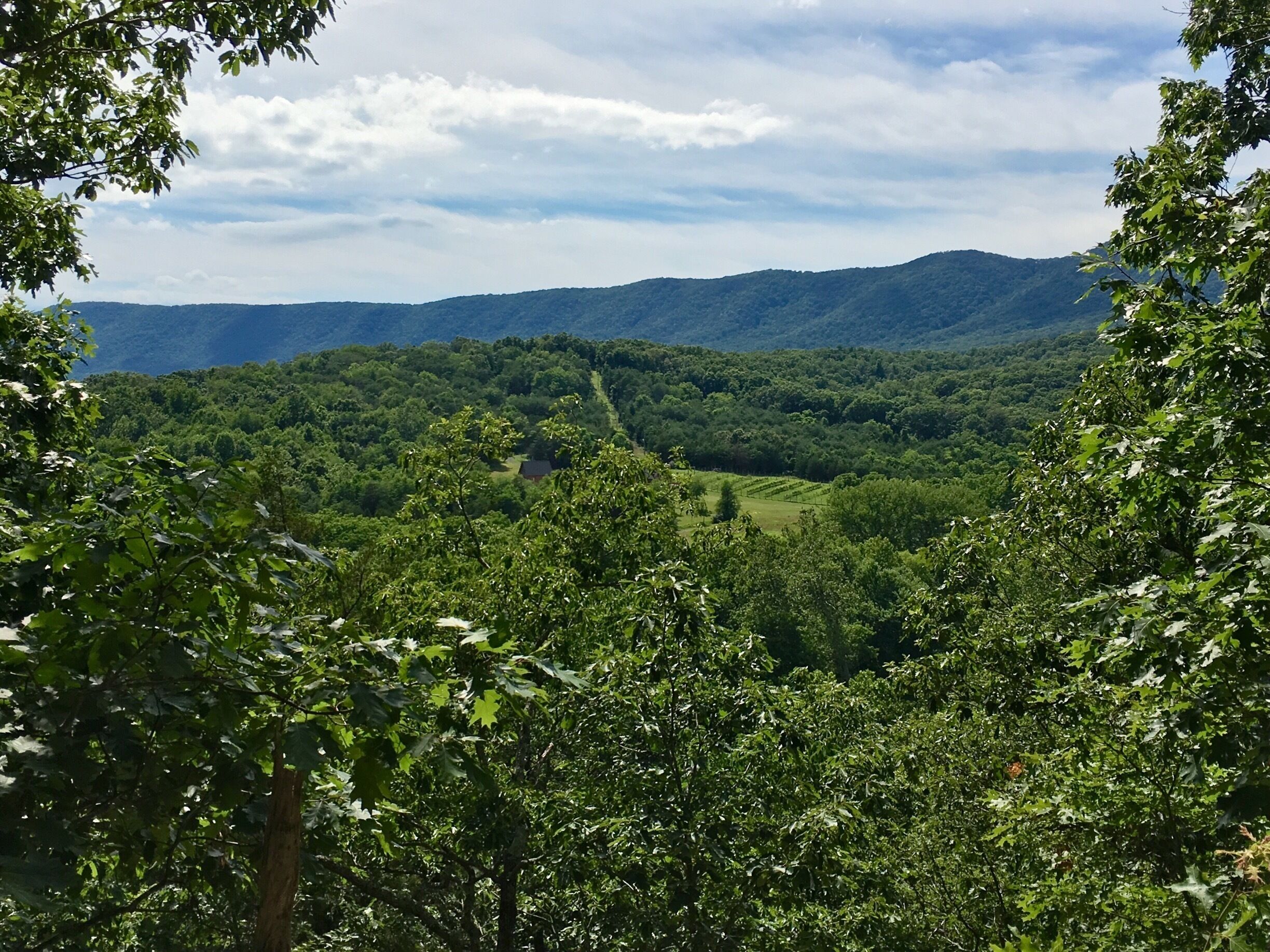 Hanging out at Shenondoa River State Park!