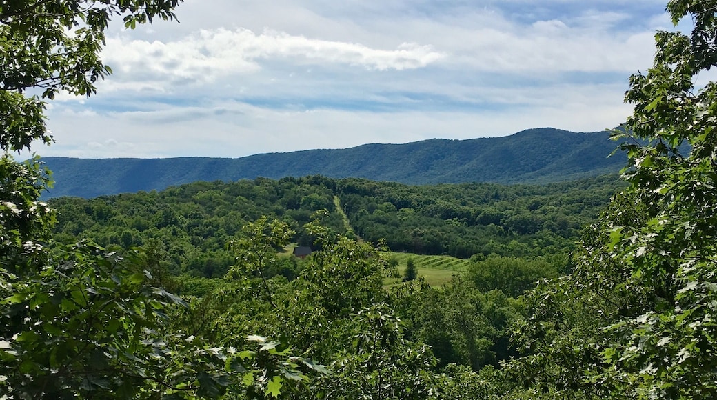 Hanging out at Shenondoa River State Park!