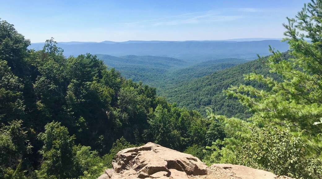 Annual camping trip. This year we went to the Shenandoah National Forest. #Adventure