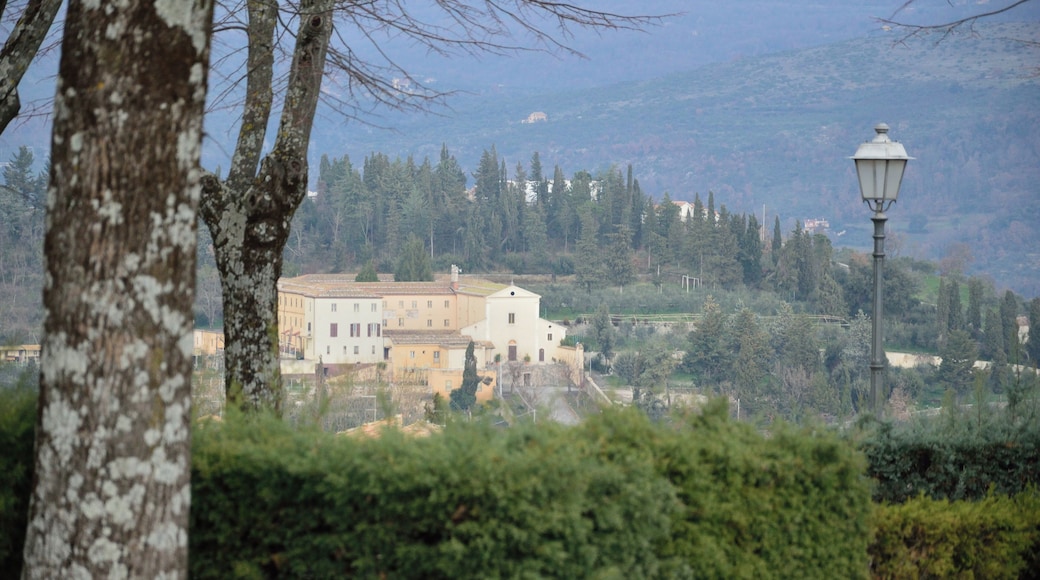 Centro Storico di Alatri, 03011 Alatri FR, Italy