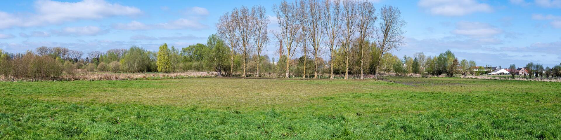 The Paddenbroek wetland meadow nature reserve in Kluisbergen, East Flemish Region, Belgium