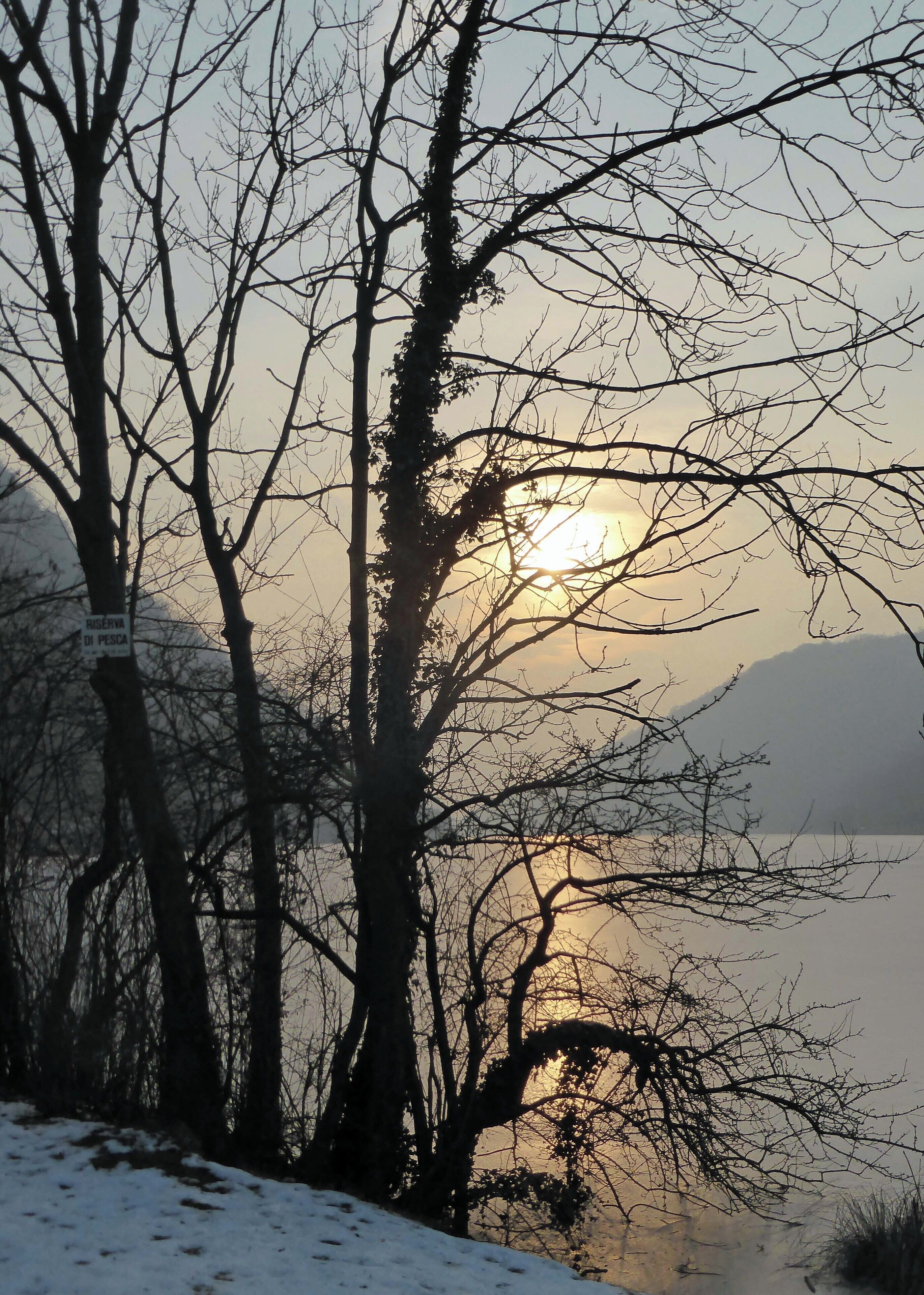 Lago di Segrino (Q49960544)