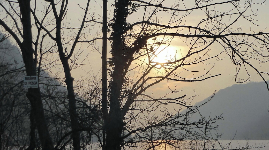 Lago di Segrino (Q49960544)