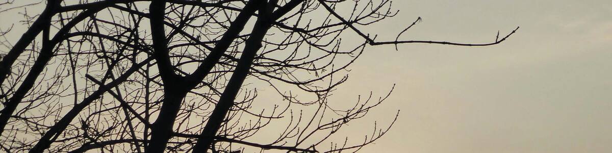 Lago di Segrino (Q49960544)