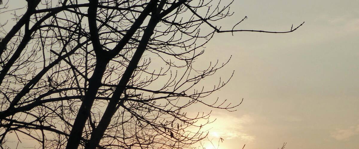 Lago di Segrino (Q49960544)