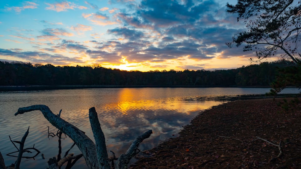 A sunset over a calm lake with reflections of the sky, surrounded by trees and a fallen tree trunk in the foreground.