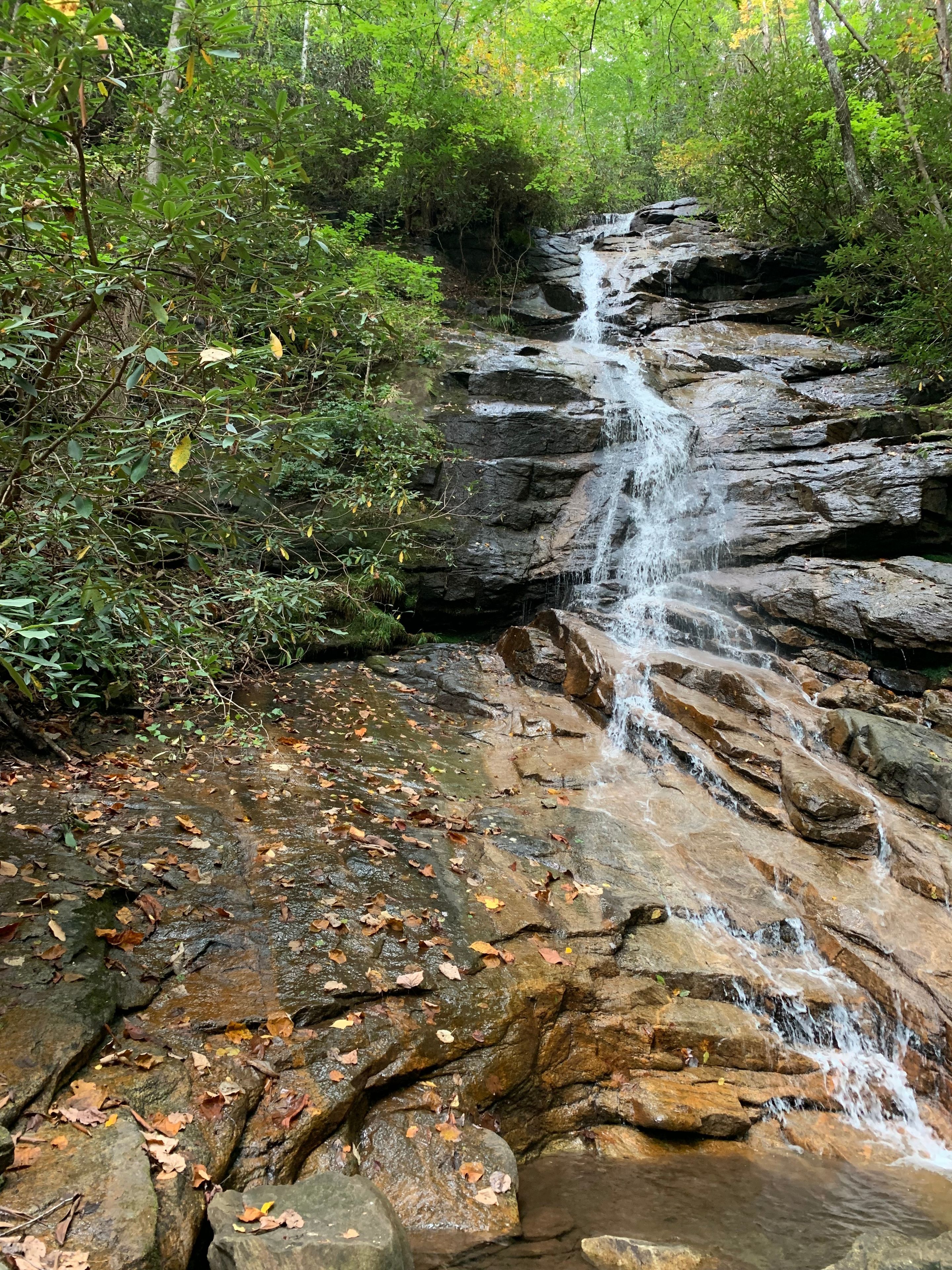 Ein Wasserfall stürzt über felsiges Gelände, umgeben von dichtem Grün.