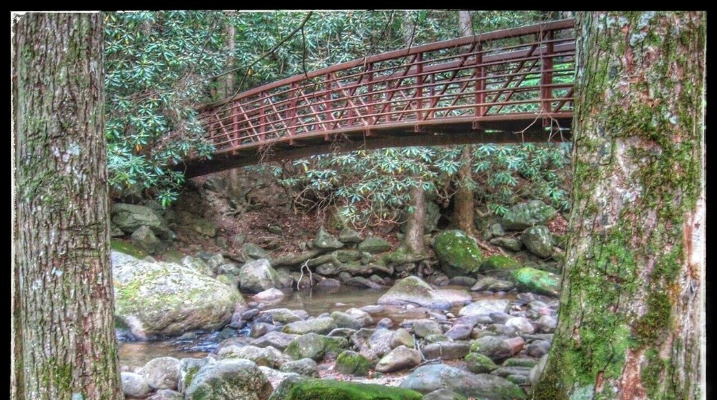 The hike is kinda of intense but the falls at the end are worth it.