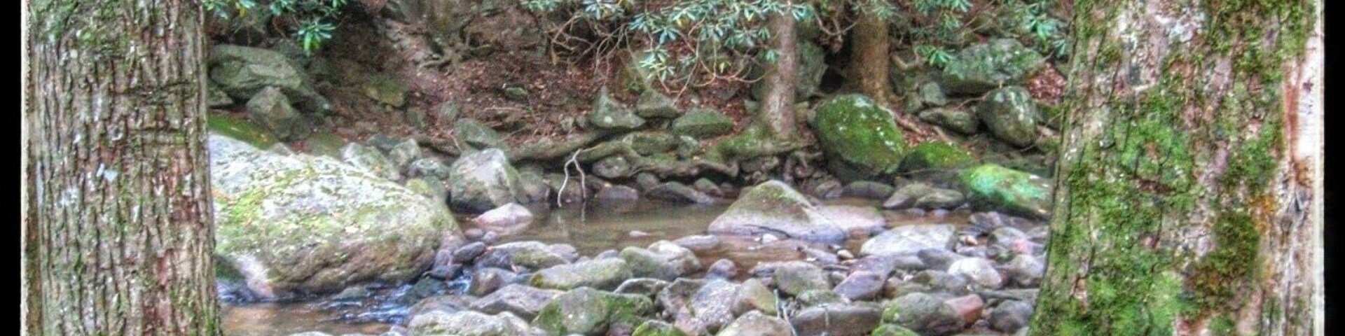 The hike is kinda of intense but the falls at the end are worth it.