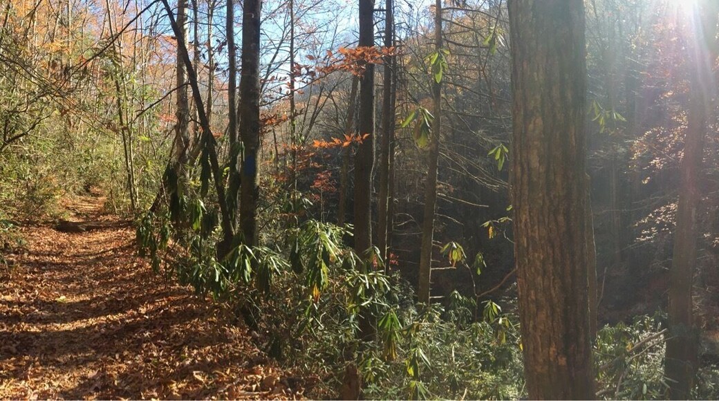 You will not be disappointed.