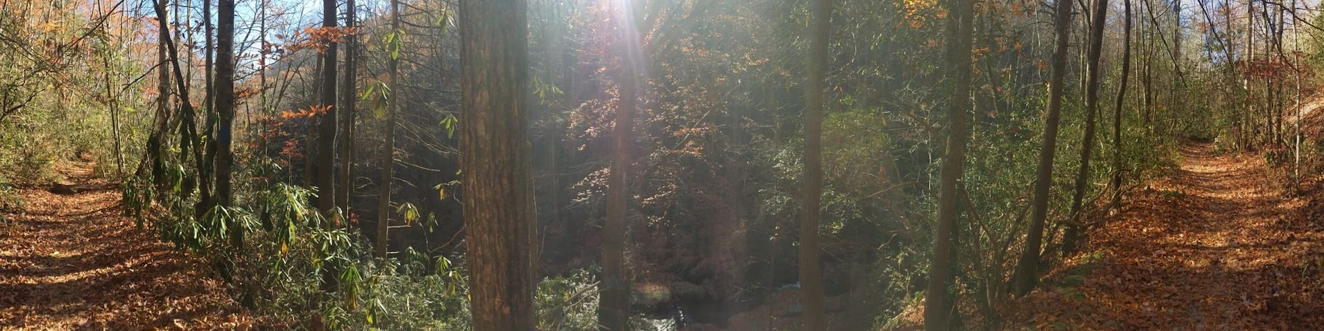 You will not be disappointed.